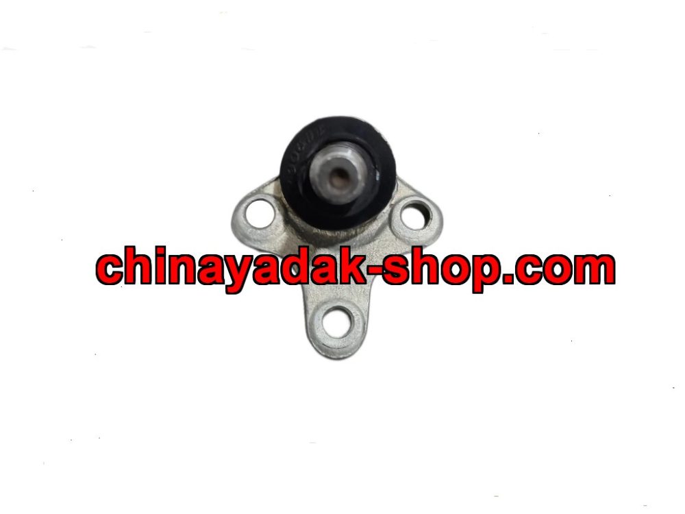 سیبک طبق ARRIZO 5/X22